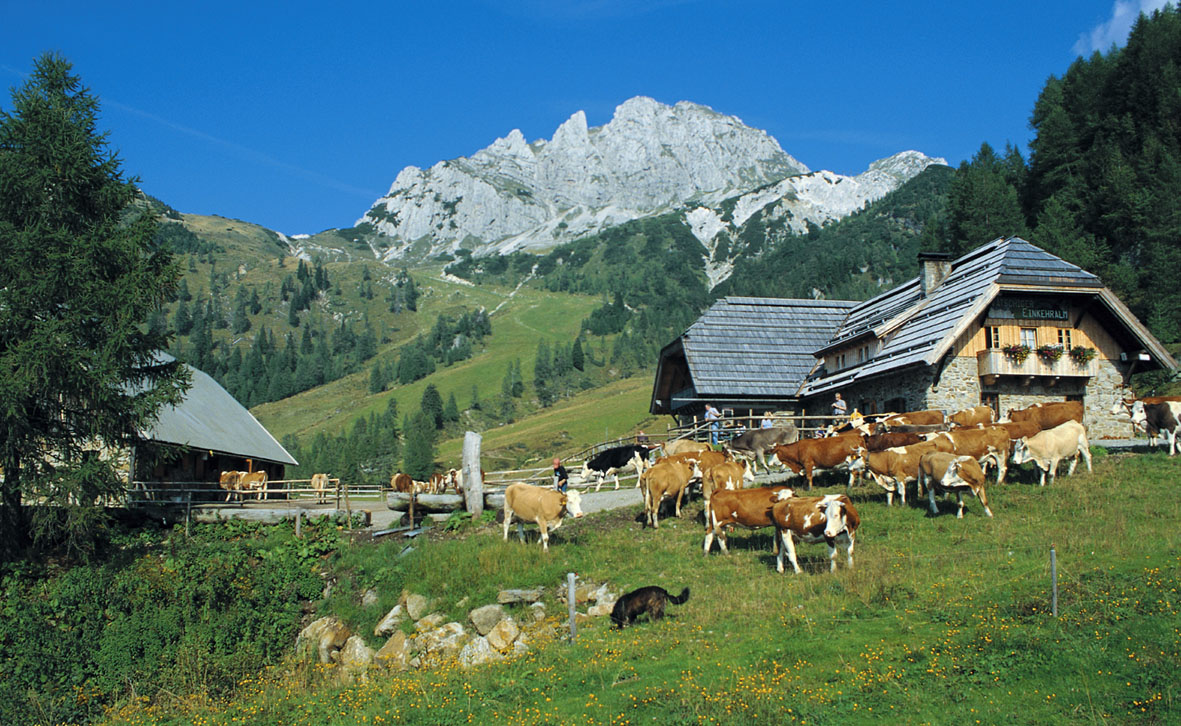 Alpen Adria Hotel & Spa Ausflugsziele Egger Alm - Dellacher Alm