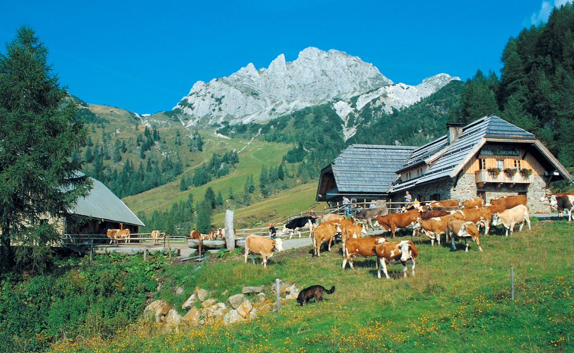 Alpen Adria Hotel & Spa Ausflugsziele Egger Alm - Dellacher Alm