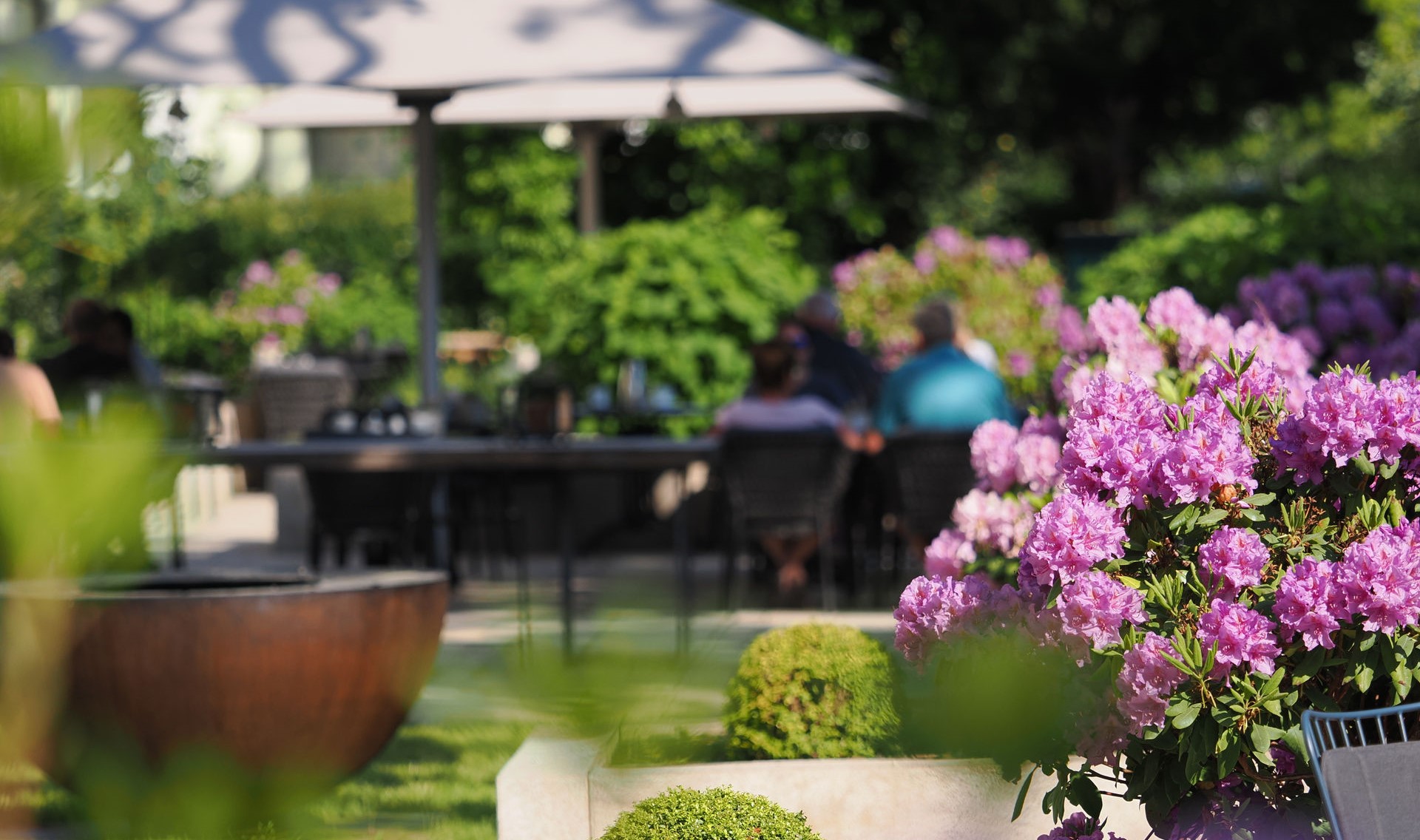 Wellnesshotel: Außenterrasse - Upstalsboom · Heringsdorf - Hotel | Umgebung