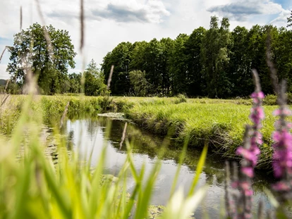 Wellnessurlaub - Schnaittach - Winkler Bräu ****S Gutshofhotel & Privatbrauerei