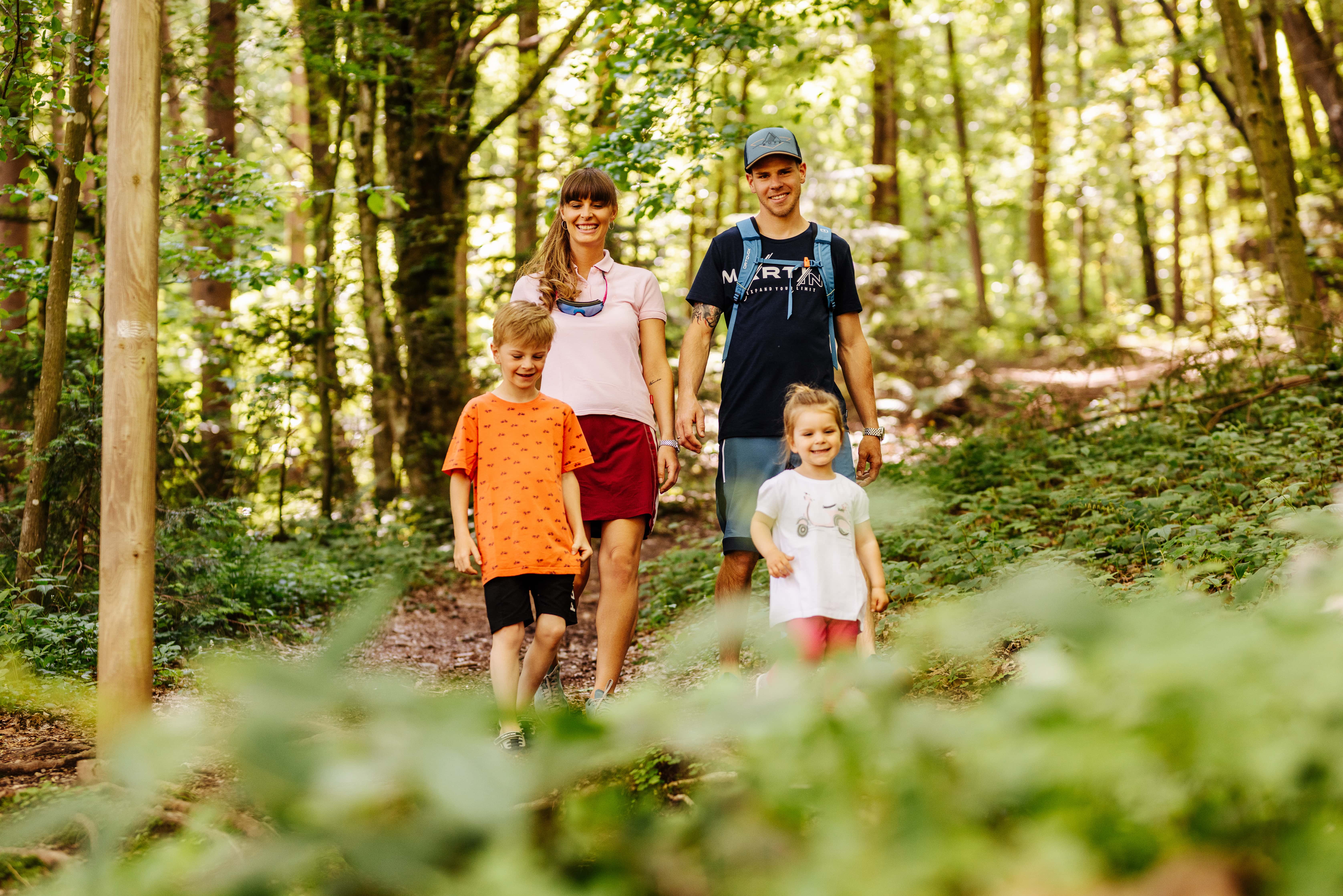 Wellnessurlaub - Kärnten - Die Umgebung genießen - Thermenhotel Karawankenhof****