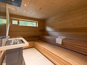 Vivea Gesundheitshotel Bad Eisenkappel Saunen und Bäder im Detail Finnische Sauna
