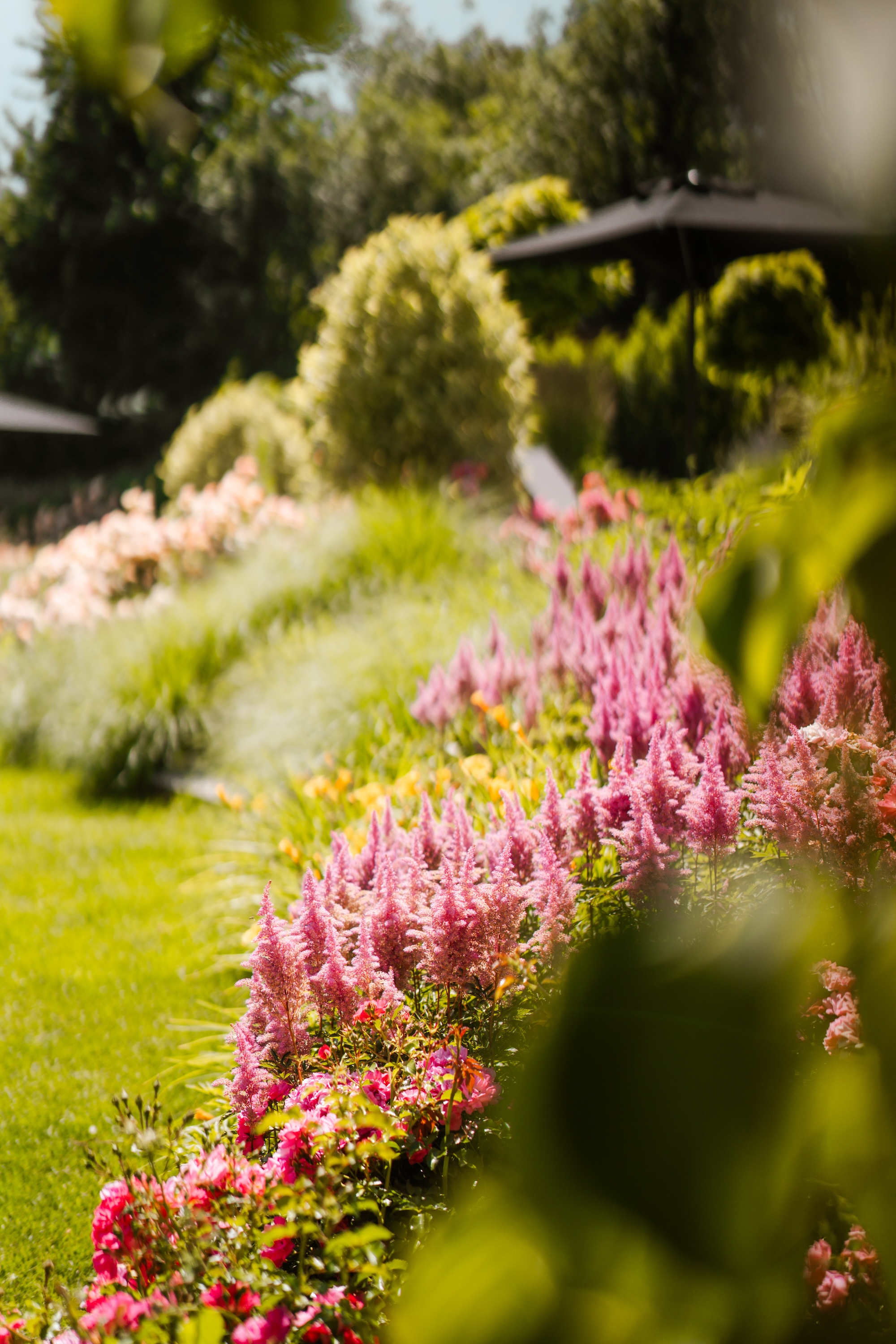 Wellnesshotel: Boutique Hotel AMARIL