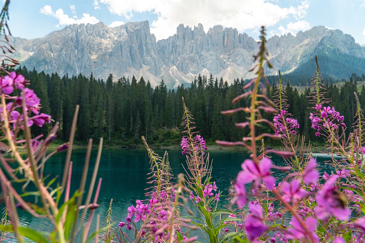 Moseralm Dolomiti Hideaway Ausflugsziele Karer See