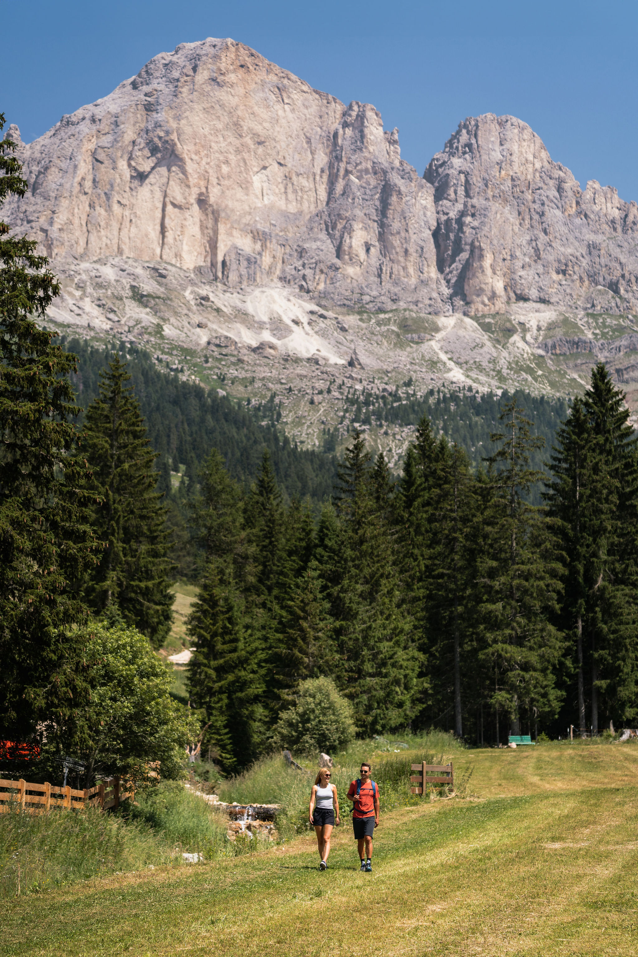 Wellnesshotel: Moseralm Dolomiti Hideaway