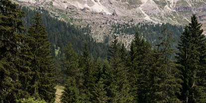 Wellnessurlaub - Corvara in Badia - Moseralm Dolomiti Spa Resort