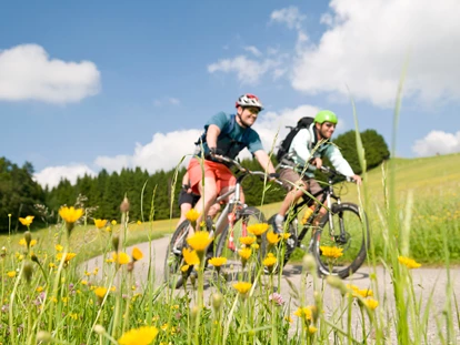 Wellnessurlaub - Hunde: hundefreundlich - Oberösterreich - AVIVA****s make friends - Hotel für Alleinreisende