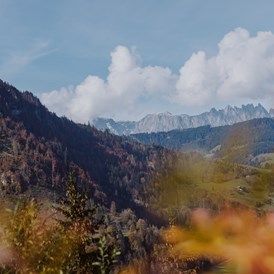 Wellnesshotel: Die gute Bergluft & einmalige Aussicht genießen - Verwöhnhotel Berghof