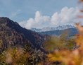 Wellnesshotel: Die gute Bergluft & einmalige Aussicht genießen - Verwöhnhotel Berghof