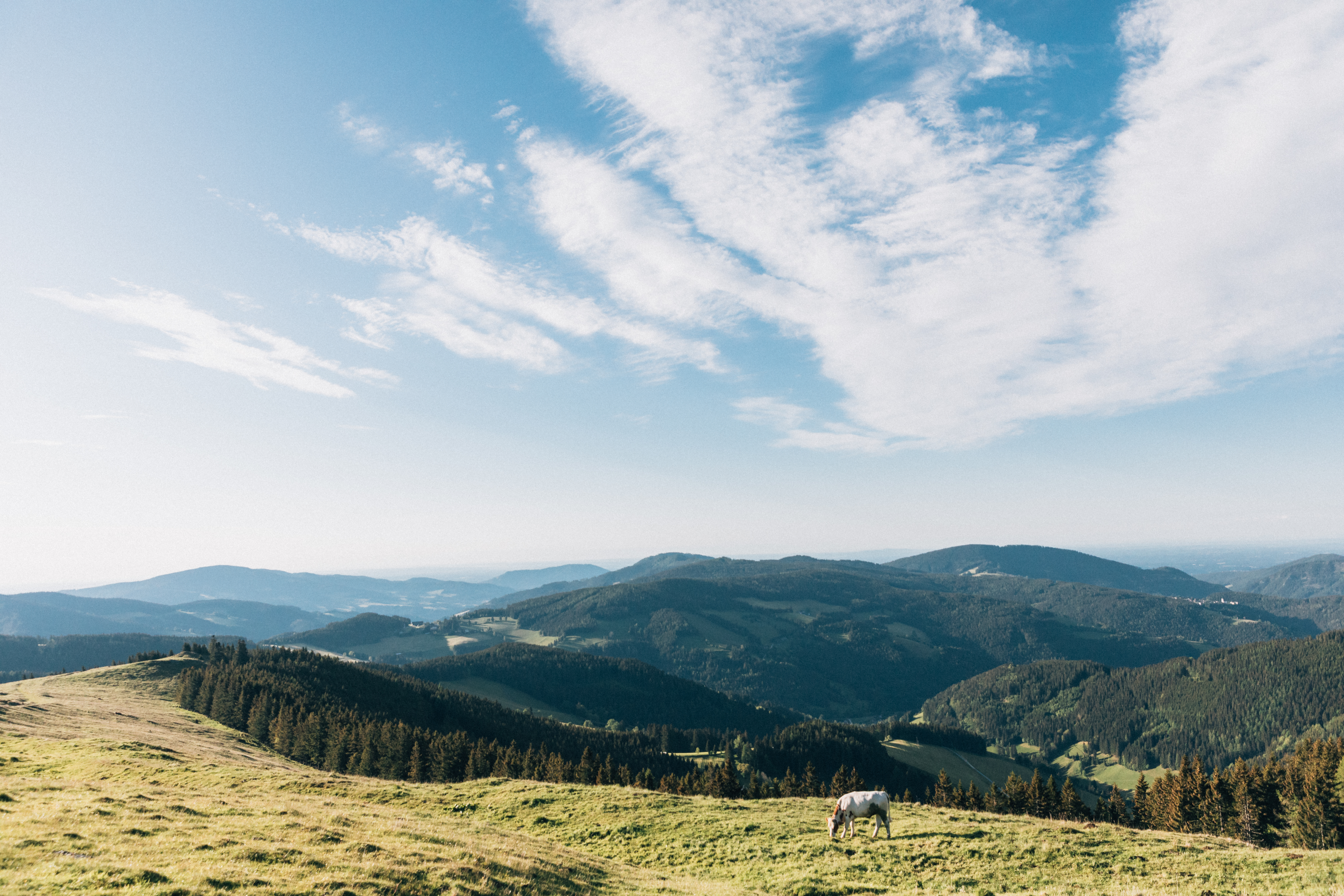 Wellnesshotel: Naturhotel Bauernhofer - Hotel | Umgebung