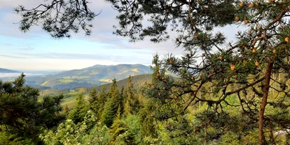 Wellnessurlaub - Restaurant - Breitenbrunn (Waldbach-Mönichwald) - Wandergebiet Fischbacher Alpen - Dorfhotel Fasching
