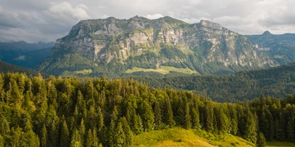 Wellnessurlaub - Day SPA - Dornbirn - Gesundhotel Bad Reuthe****s