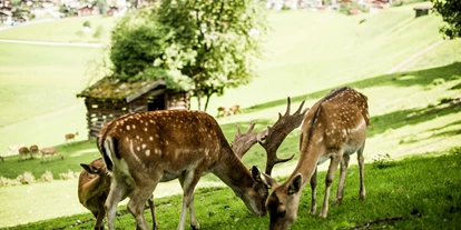 Wellnessurlaub - Dorf Tirol - Forster's Naturresort