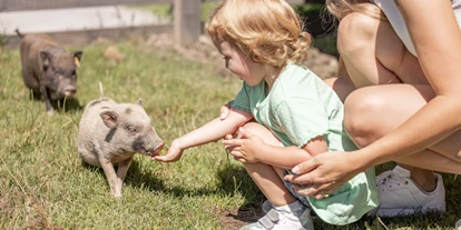 Wellnessurlaub - Fahrradverleih - Innsbruck - Mini Pigs , Streichelzoo - Galtenberg Resort 4*S