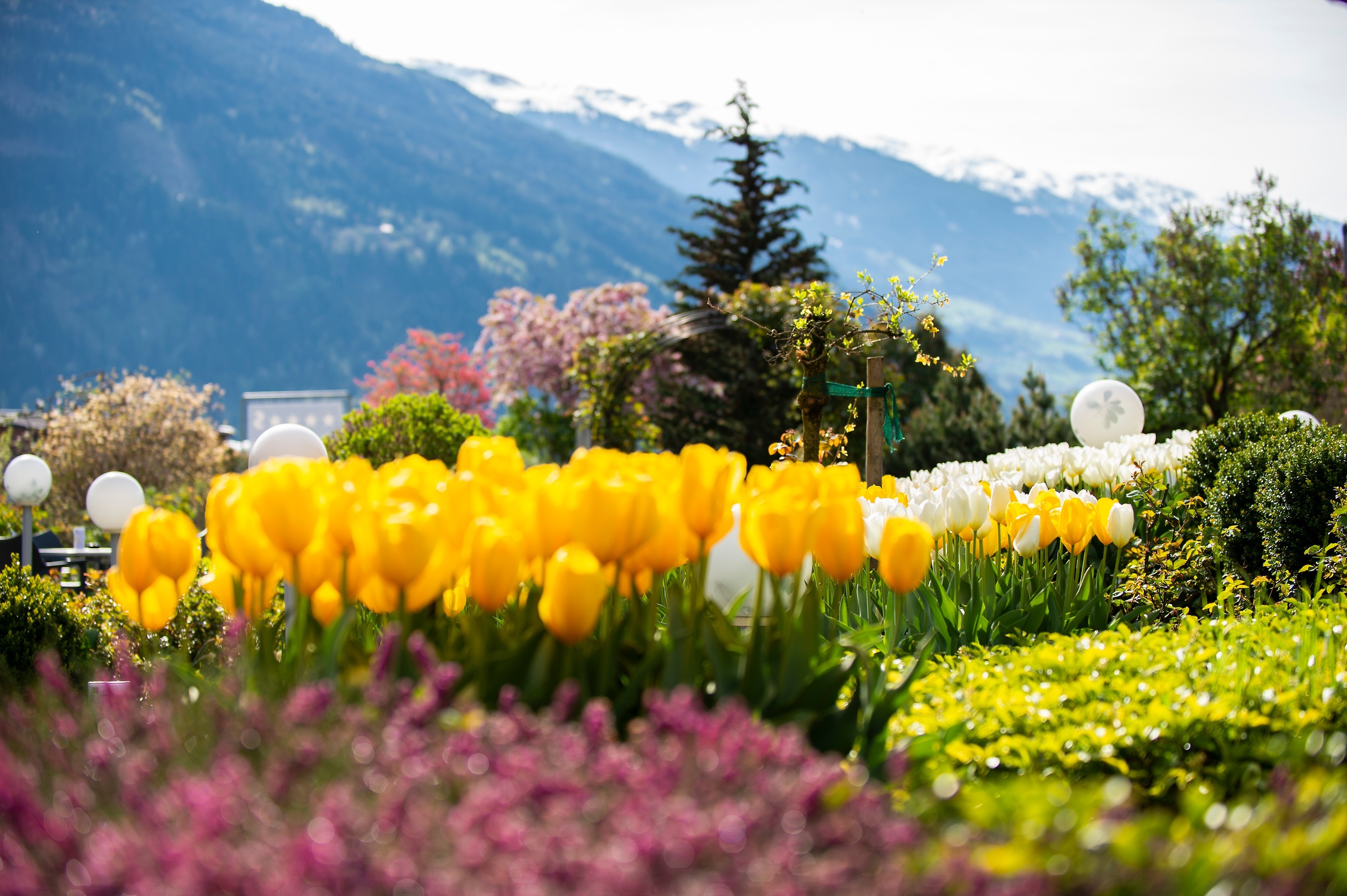 Wellnesshotel: Garten - Gartenhotel Crystal