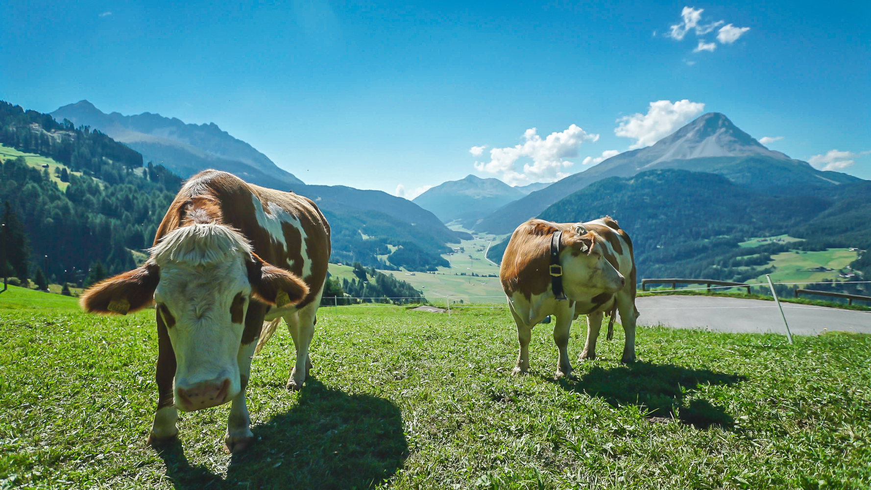 Wellnesshotel: Hotel Mein Almhof