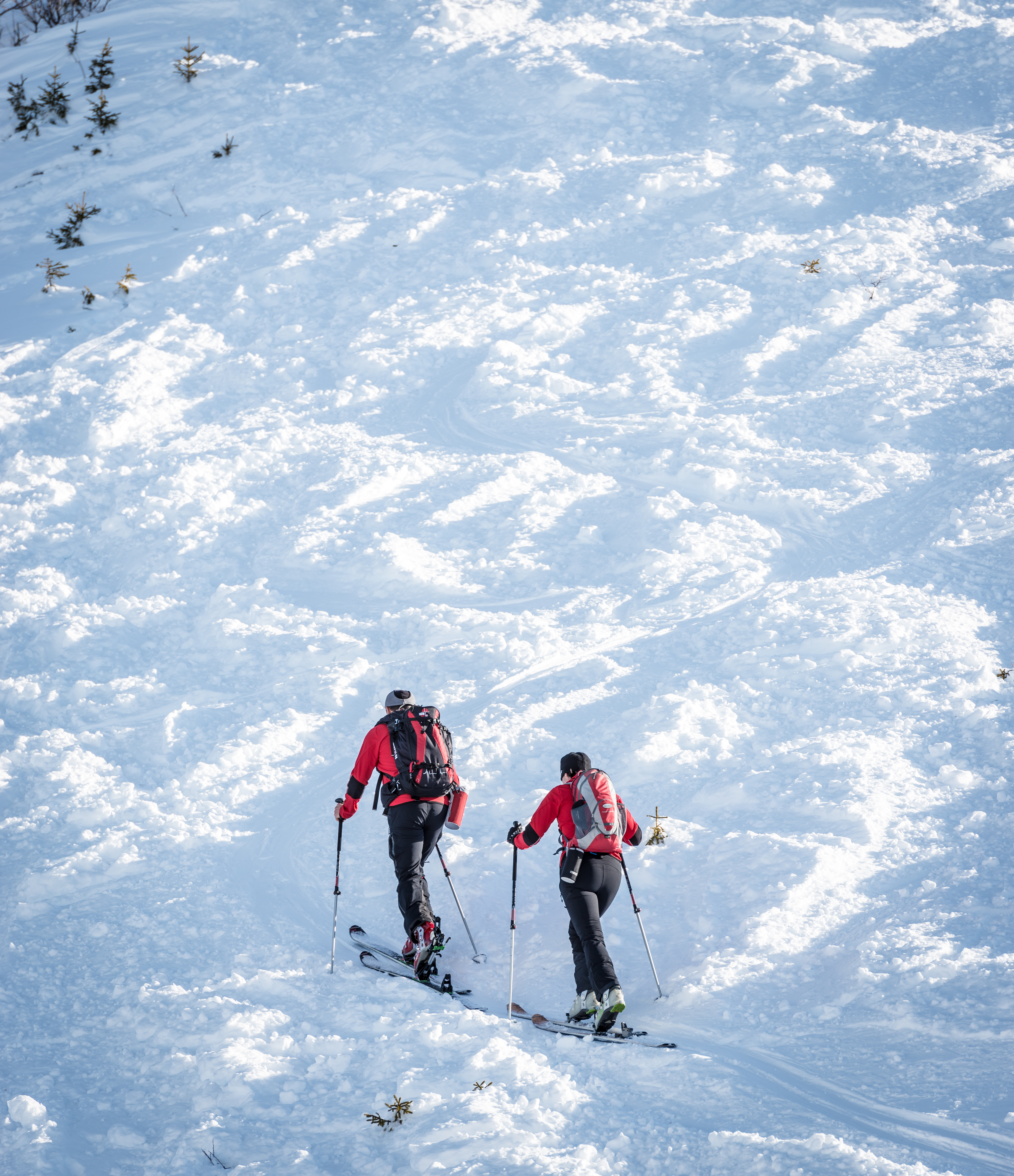 Wellnesshotel: Hotel Schwarzbrunn Luxury All Inclusive