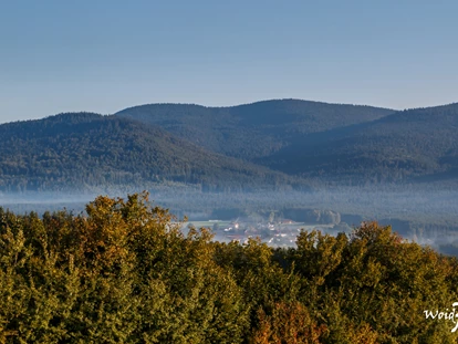 Wellnessurlaub - Finnische Sauna - Saldenburg - Brandtner Tal - Wellness & Naturhotel Tonihof****S