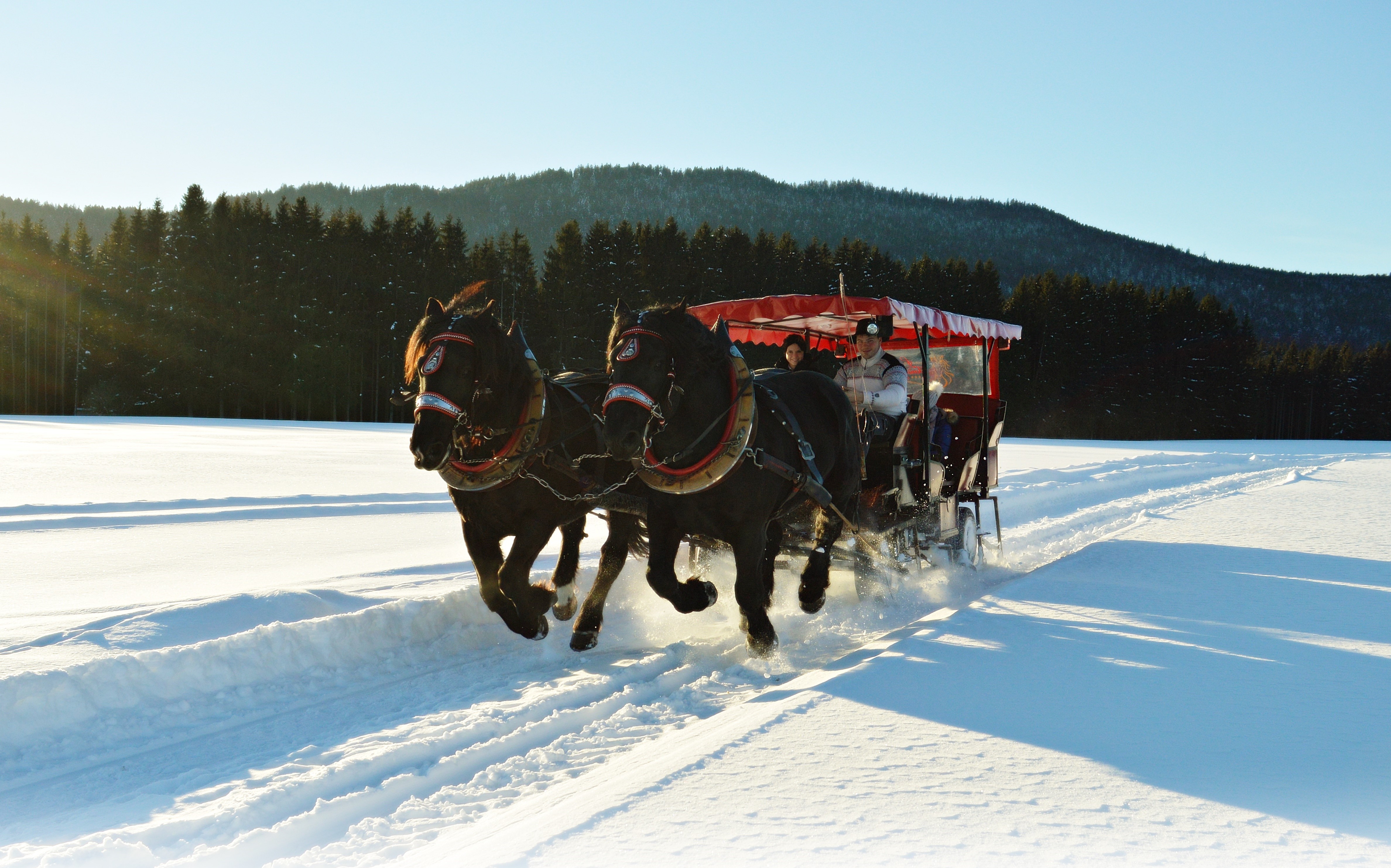 Wellnesshotel: Kutschenfahrten - Wellness & Naturhotel Tonihof****S - Hotel | Umgebung
