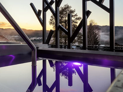 Wellnessurlaub - Finnische Sauna - Saldenburg - Wellness & Naturhotel Tonihof****S