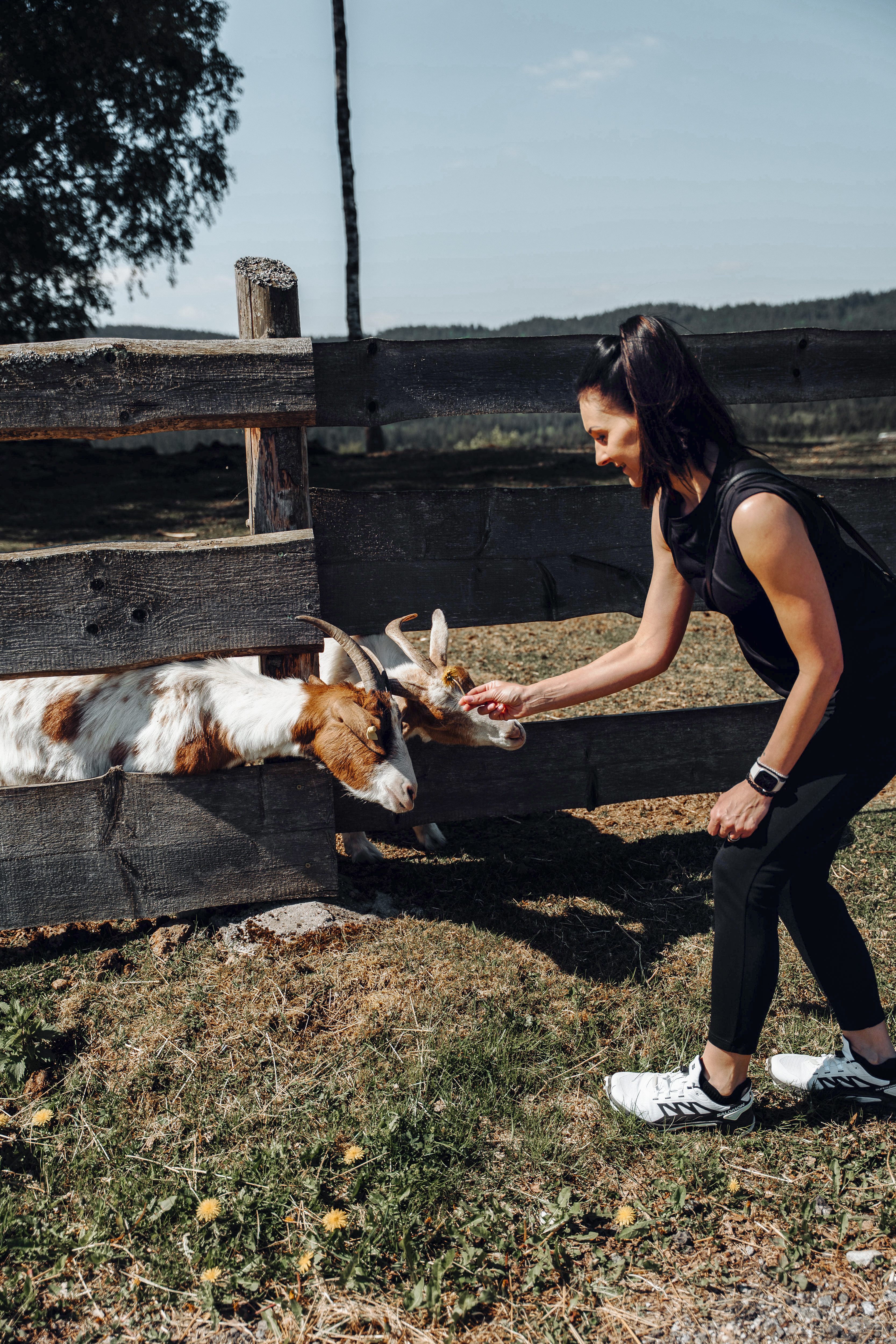 Wellnesshotel: Wellness & Naturhotel Tonihof****S