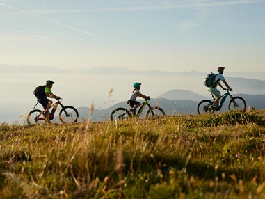 Wellnesshotel: Windschar Ferien & Wellness Hotel
