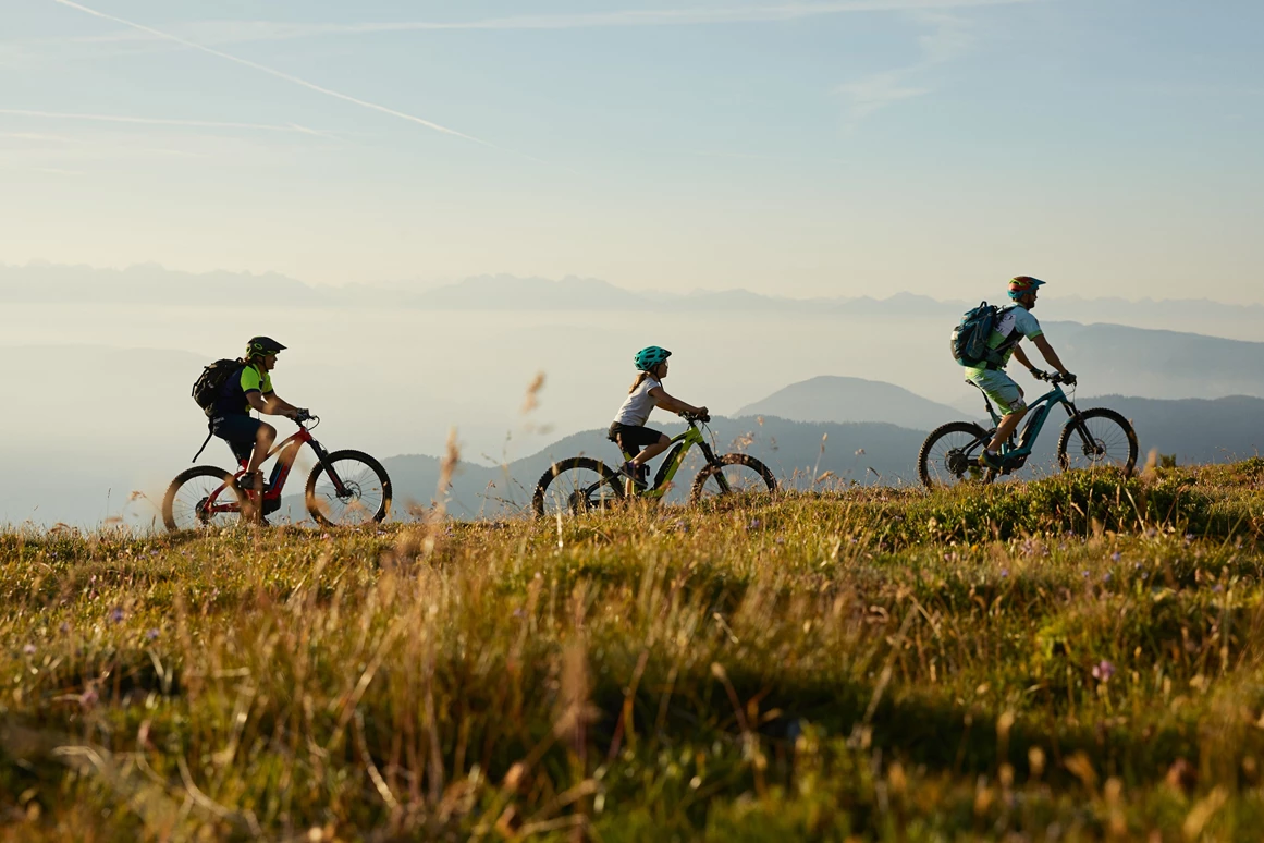 Wellnesshotel: Windschar Ferien & Wellness Hotel