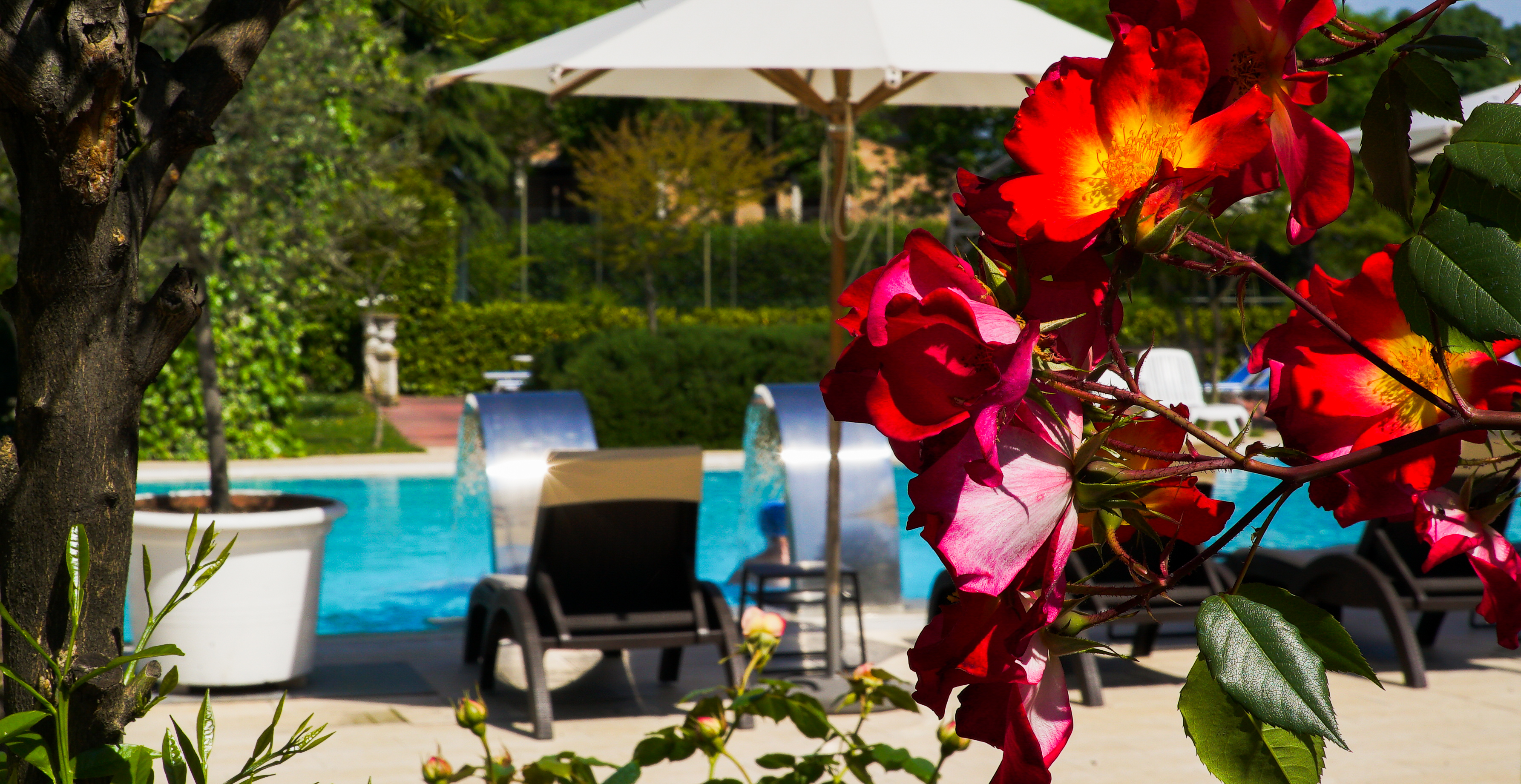 Wellnesshotel: Unser mediterraner Garten - HOTEL BELLAVISTA TERME Resort & Spa