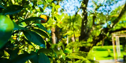 Wellnessurlaub - Pilates - Unser mediterraner Garten - HOTEL BELLAVISTA TERME Resort & Spa