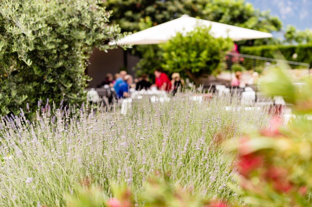 Wellnessurlaub - Bozen und Umgebung - Hotel Hasslhof - Wohnen im Weinberg am Kalterer See