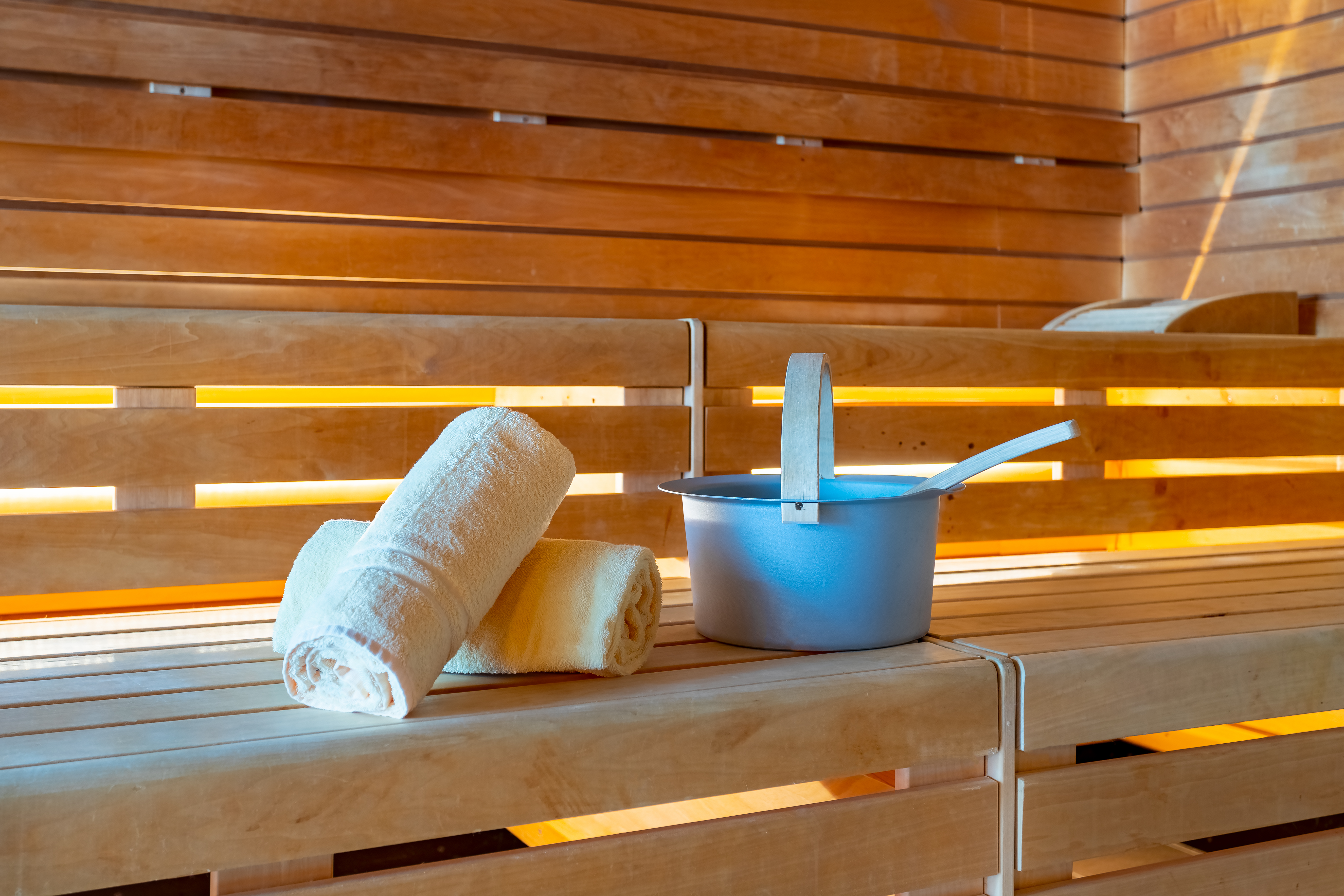 Wellnesshotel: Sauna - Hotel Badehof 