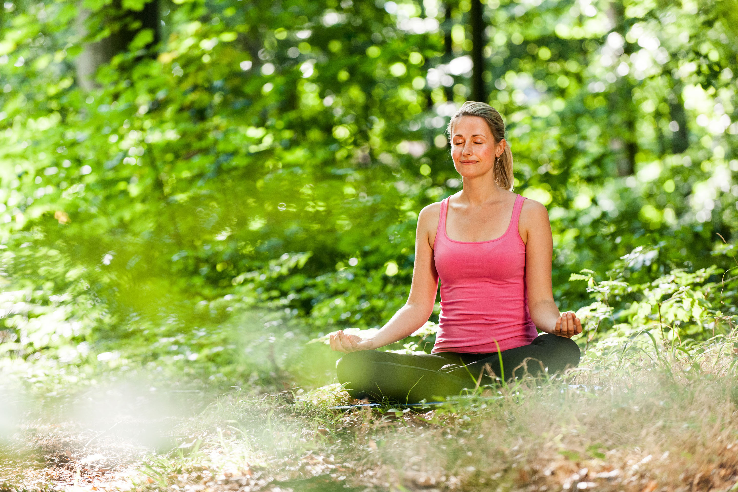 Wellnesshotel: Entspannung im Wald - Ringhotel Birke Kiel – 4-Sterne-Superior Wellnesshotel mit Birke Spa, Schwimmbad & Sauna
