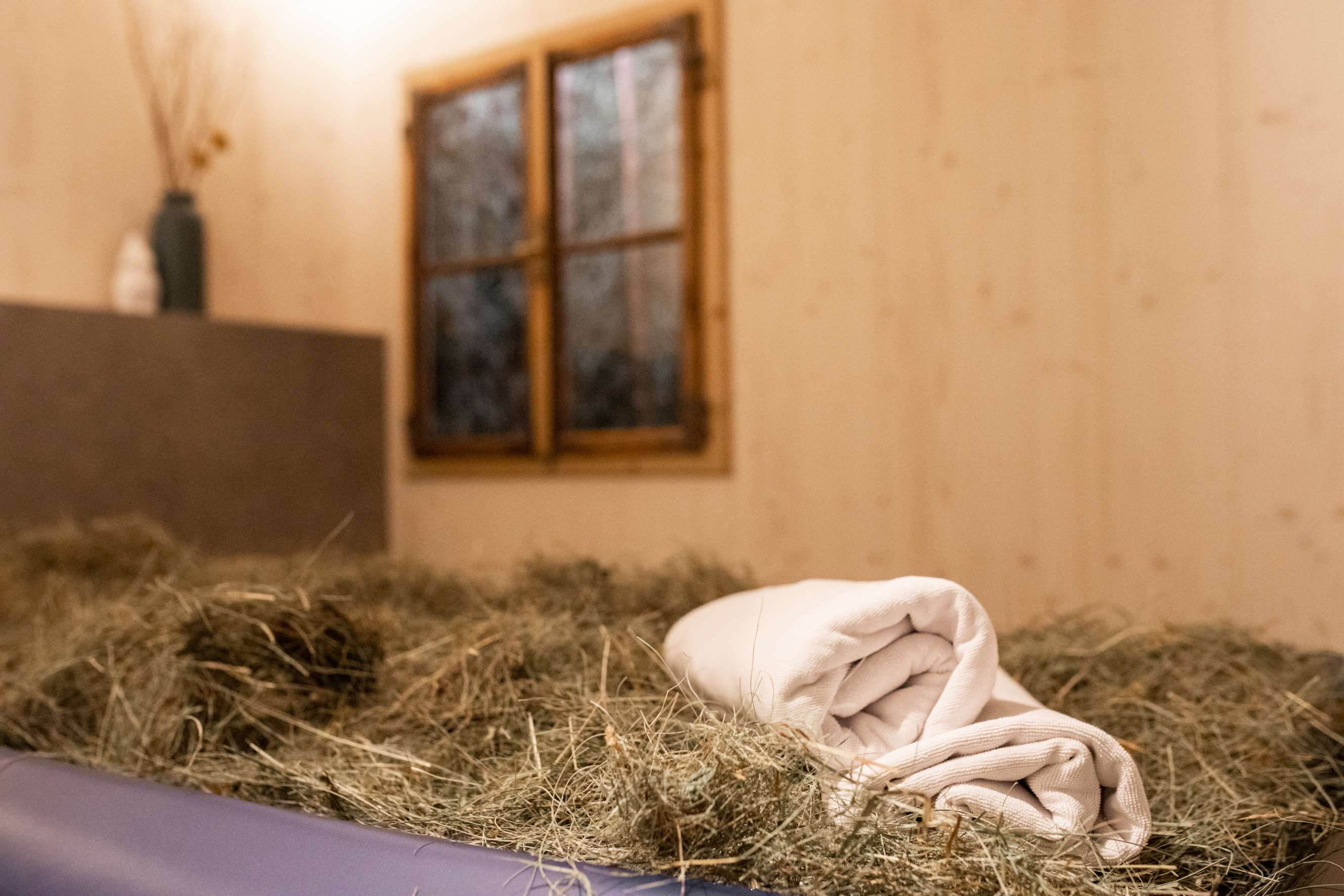 Wellnesshotel: Hotel Garberhof