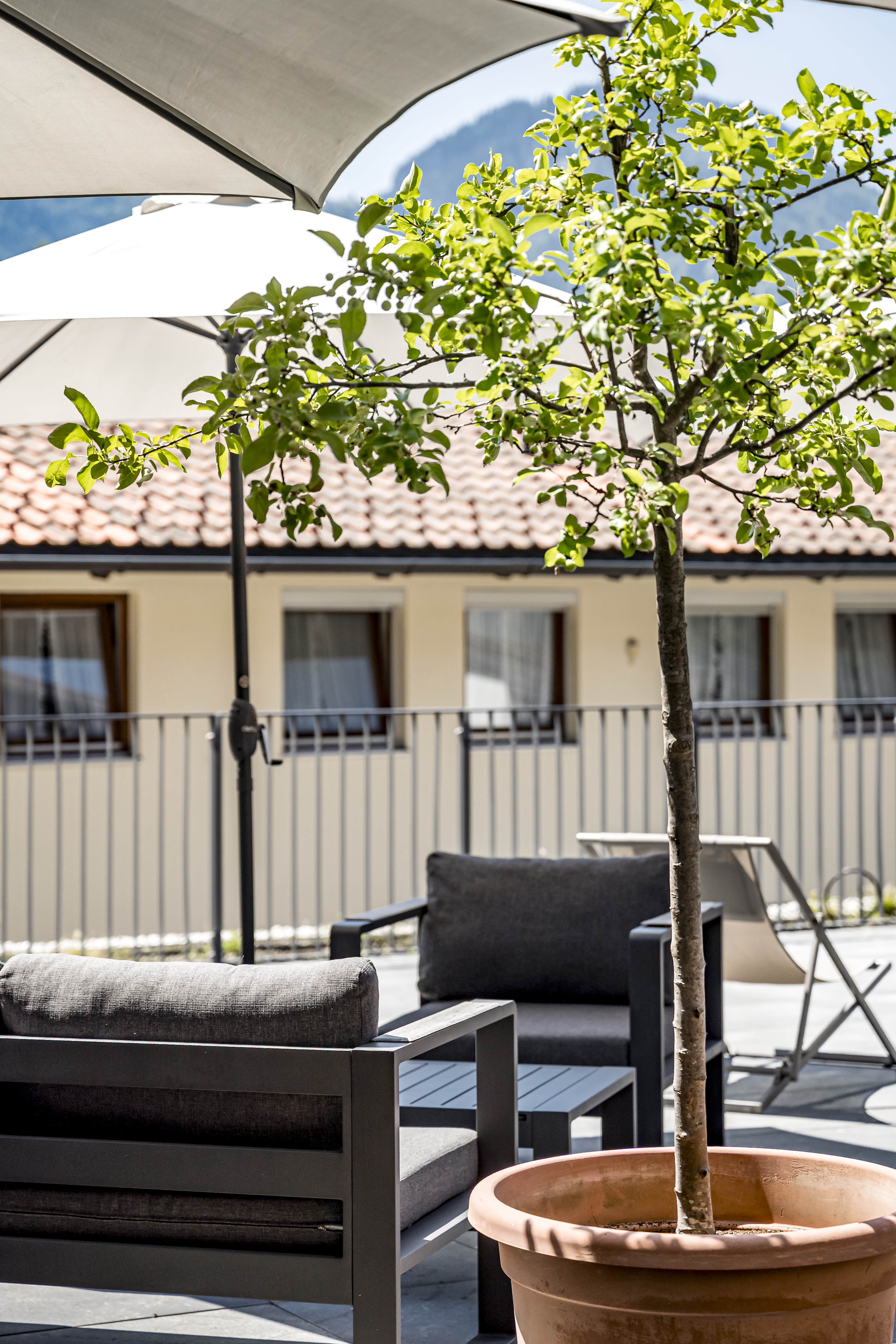 Wellnesshotel: Hotel Ruhpoldinger Hof - Hotel | Umgebung