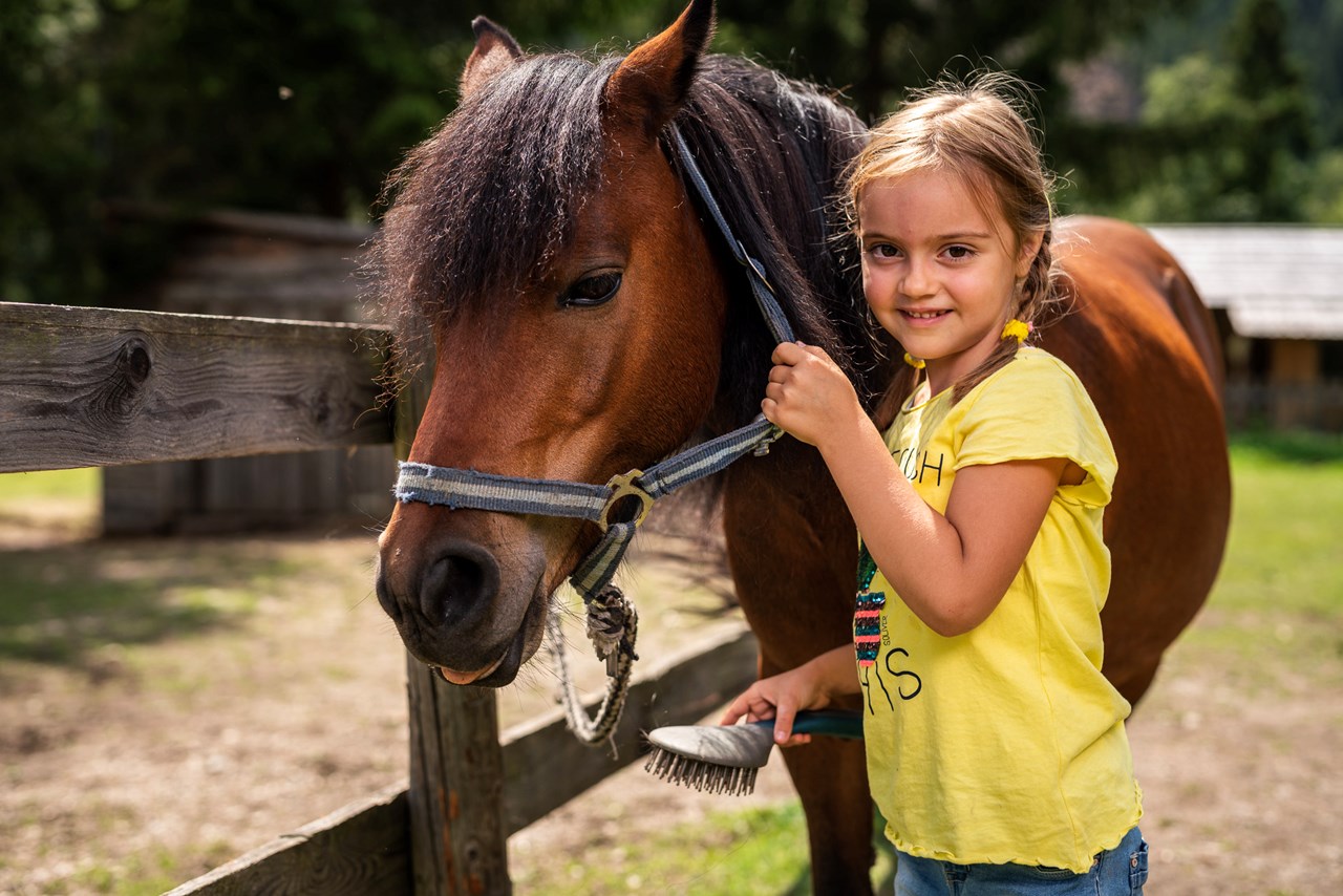 Hotel GUT Trattlerhof & Chalets****S Ausflugsziele Trattlers Ponyfarm