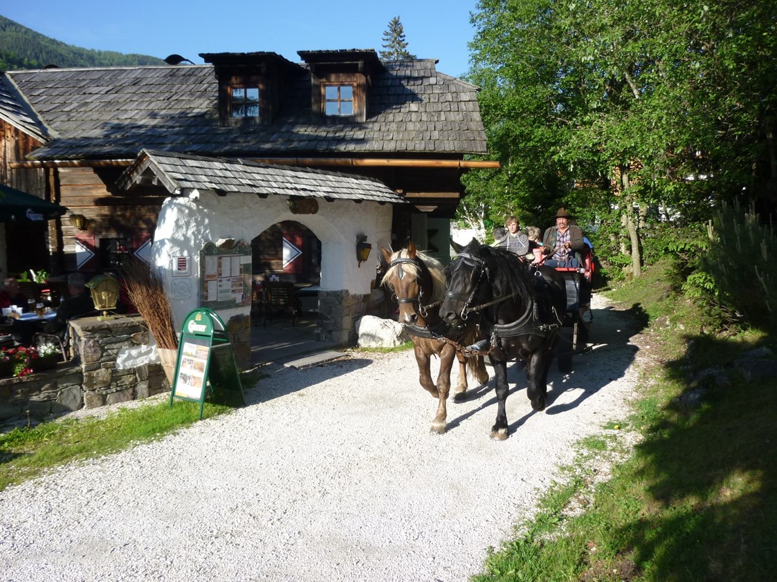 Wellnesshotel: Pferdekutschen Erlebnisfahrten - Hotel GUT Trattlerhof & Chalets****