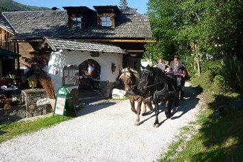 Wellnesshotel: Pferdekutschen Erlebnisfahrten - Hotel GUT Trattlerhof & Chalets****