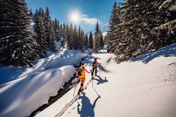 Wellnesshotel: Skitouren - DAS EDELWEISS Salzburg Mountain Resort