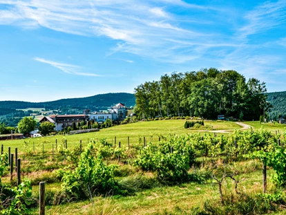 Wellnessurlaub - Pilates - Der Birkenhof mitten im Grünen des Bayerischen Waldes - Spirit & SPA Birkenhof am Elfenhain