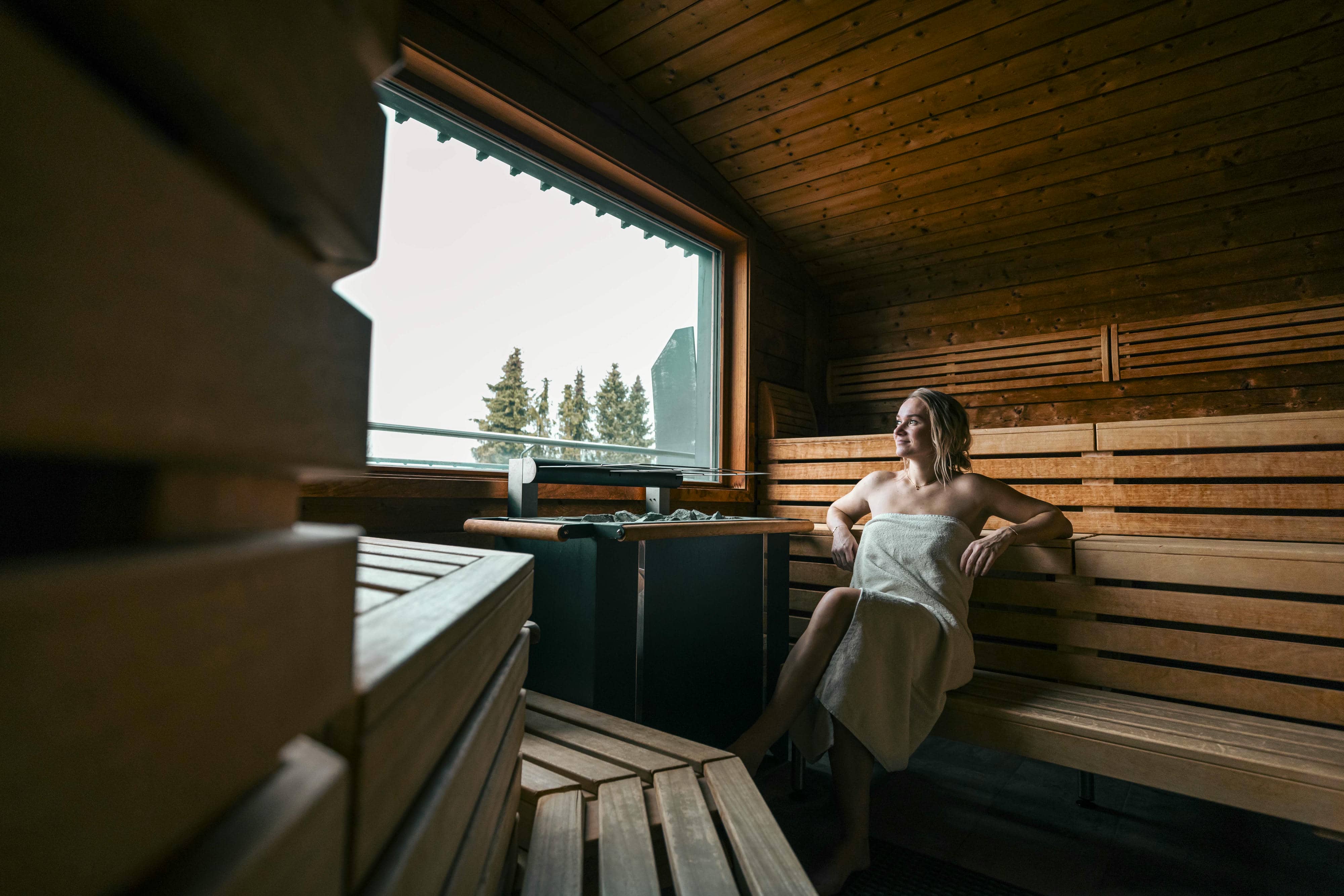 Wellnesshotel: Blockhaussauna - Spirit & SPA Birkenhof am Elfenhain - Sauna | Spa