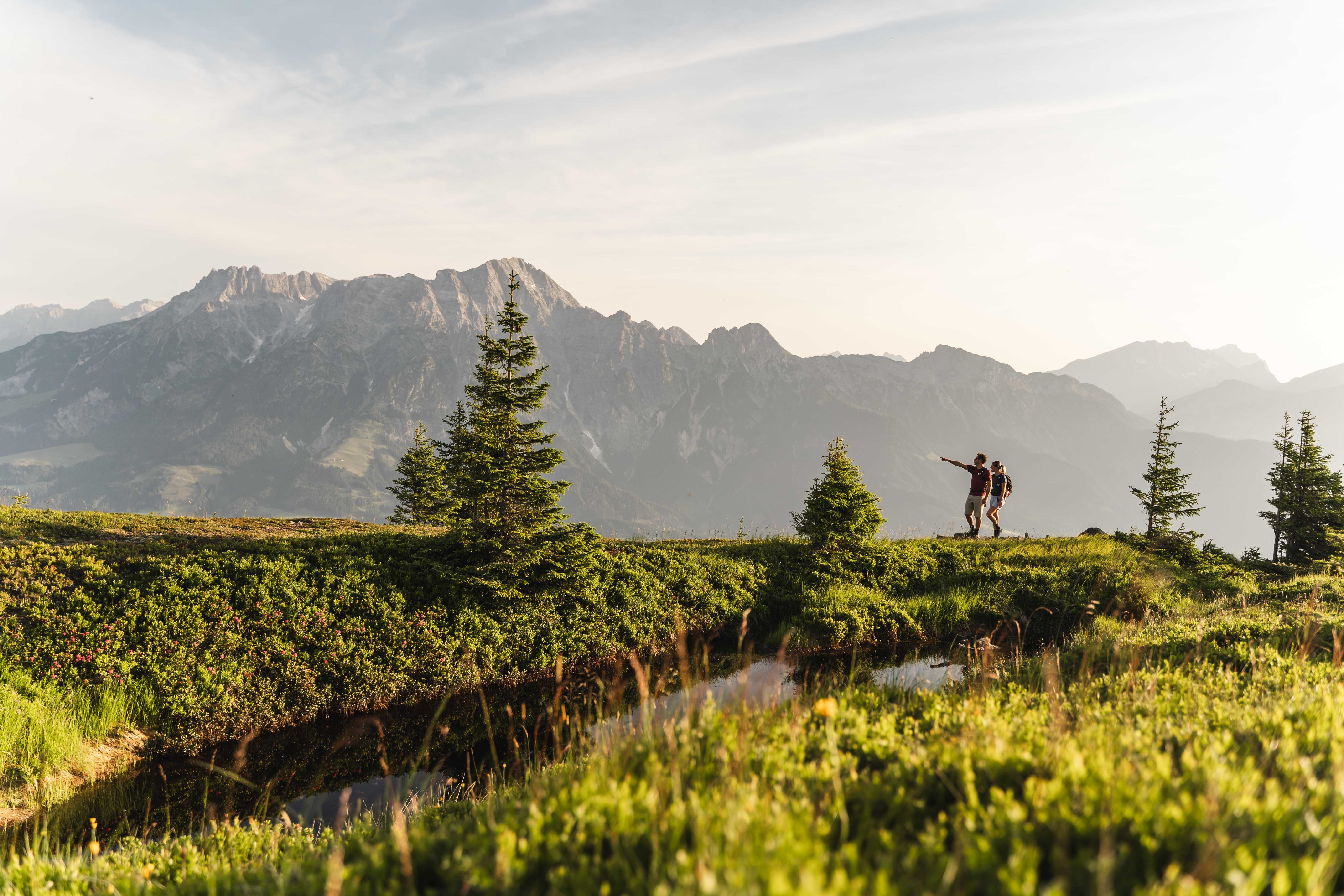 Wellnesshotel: Hotel DER LÖWE LEOGANG