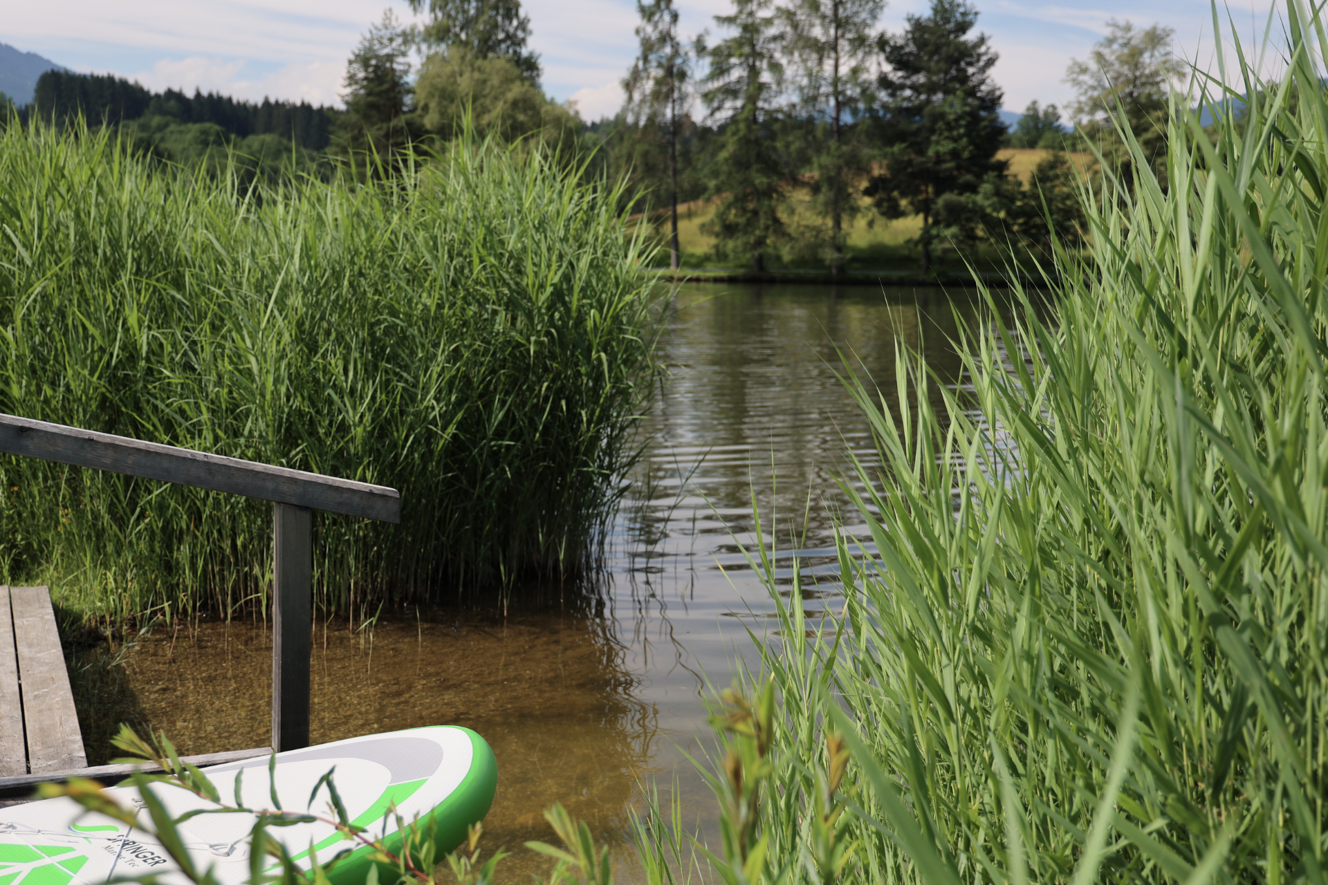 Wellnesshotel: Stand-up-Paddel auf dem Ritzensee (Verleih im Hotel) - Ritzenhof – Hotel und Spa am See - Wasser