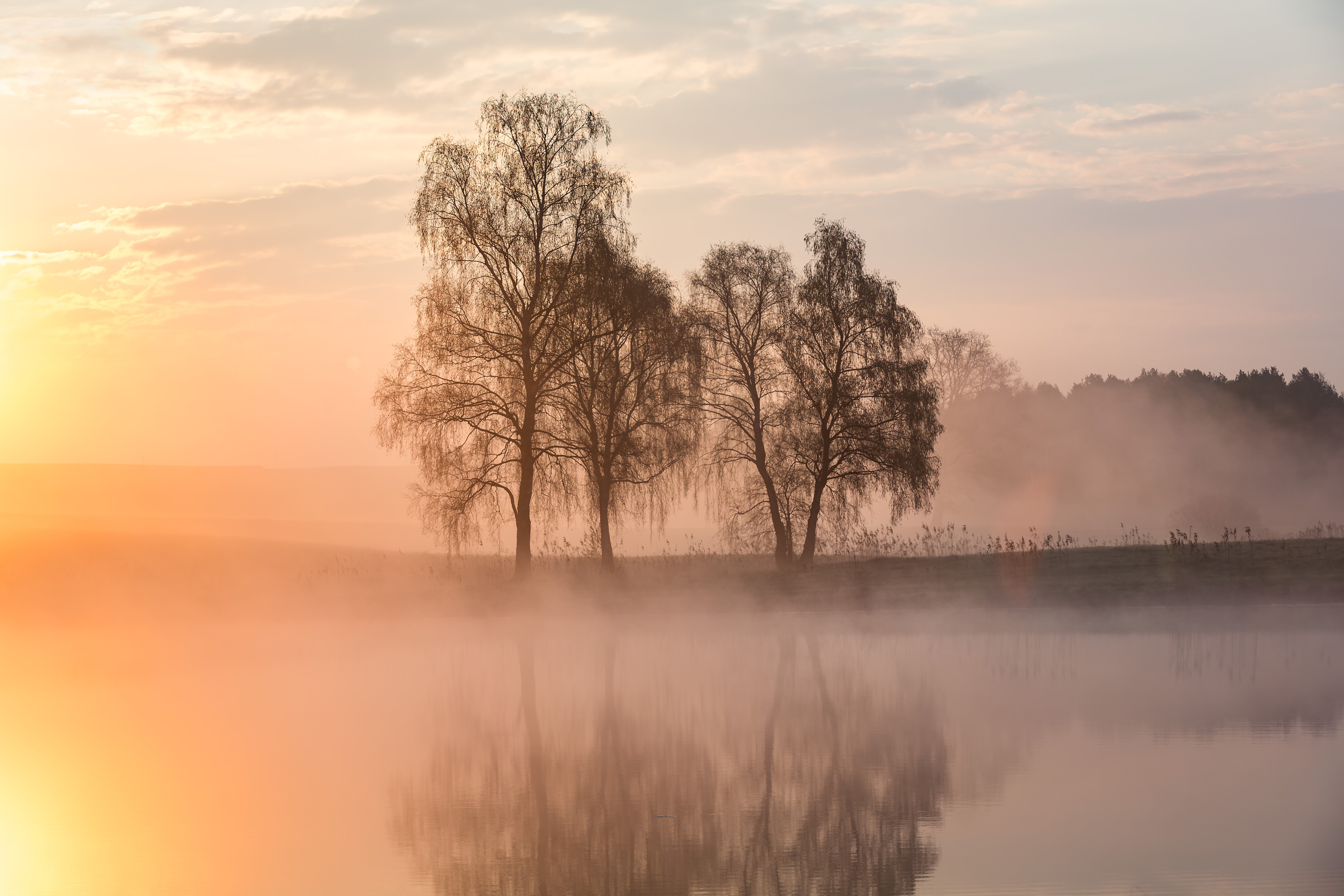 Wellnesshotel: www.seesidehotel.at - Seeside Hotel Seewirt Mattsee - Hotel | Umgebung, Wasser