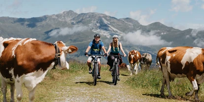 Wellnessurlaub - Fahrradverleih - Innsbruck - E-Bike-Tour - Alpinhotel Berghaus