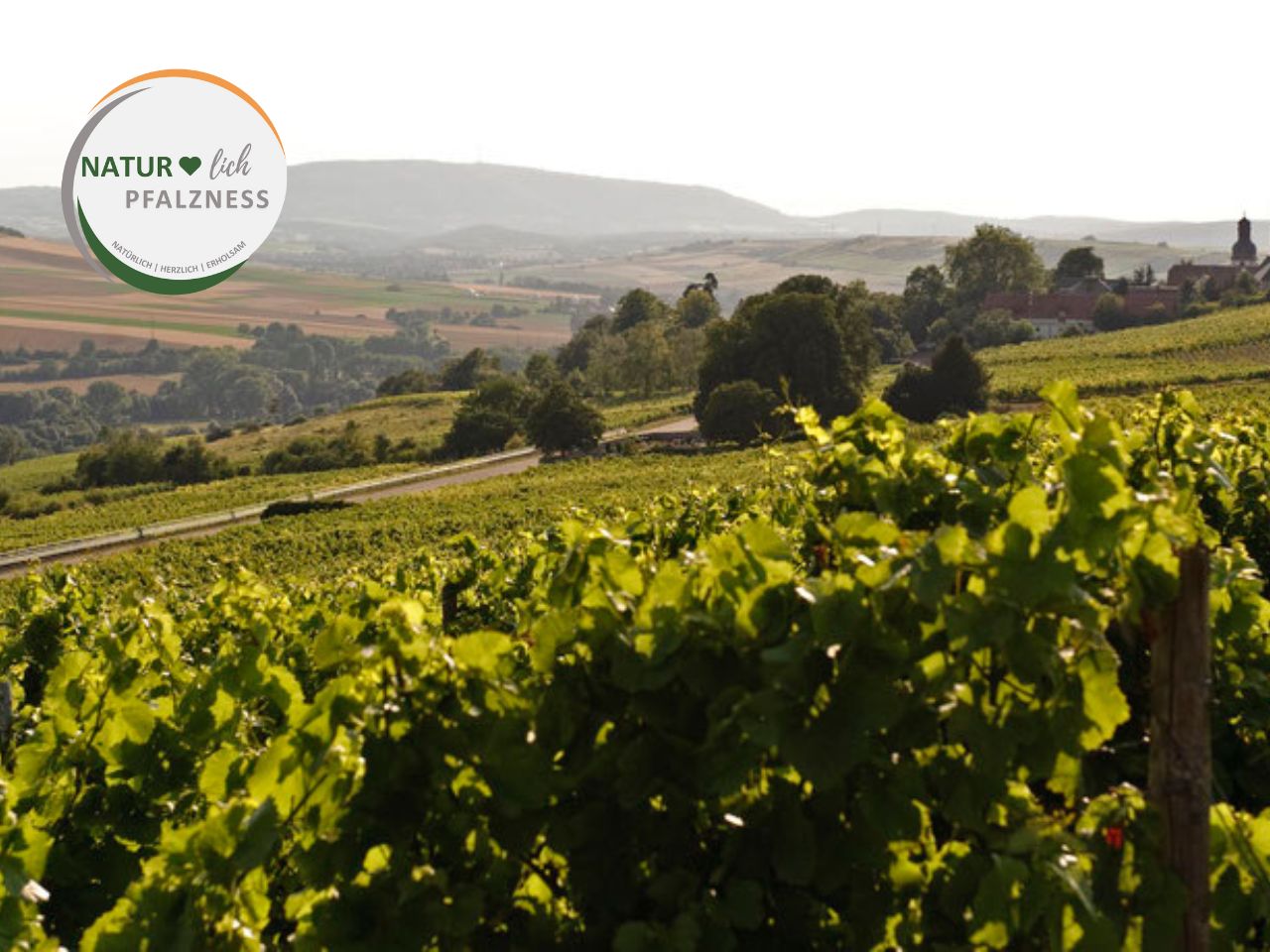 Wellnesshotel: Umgebung - Parkhotel Schillerhain