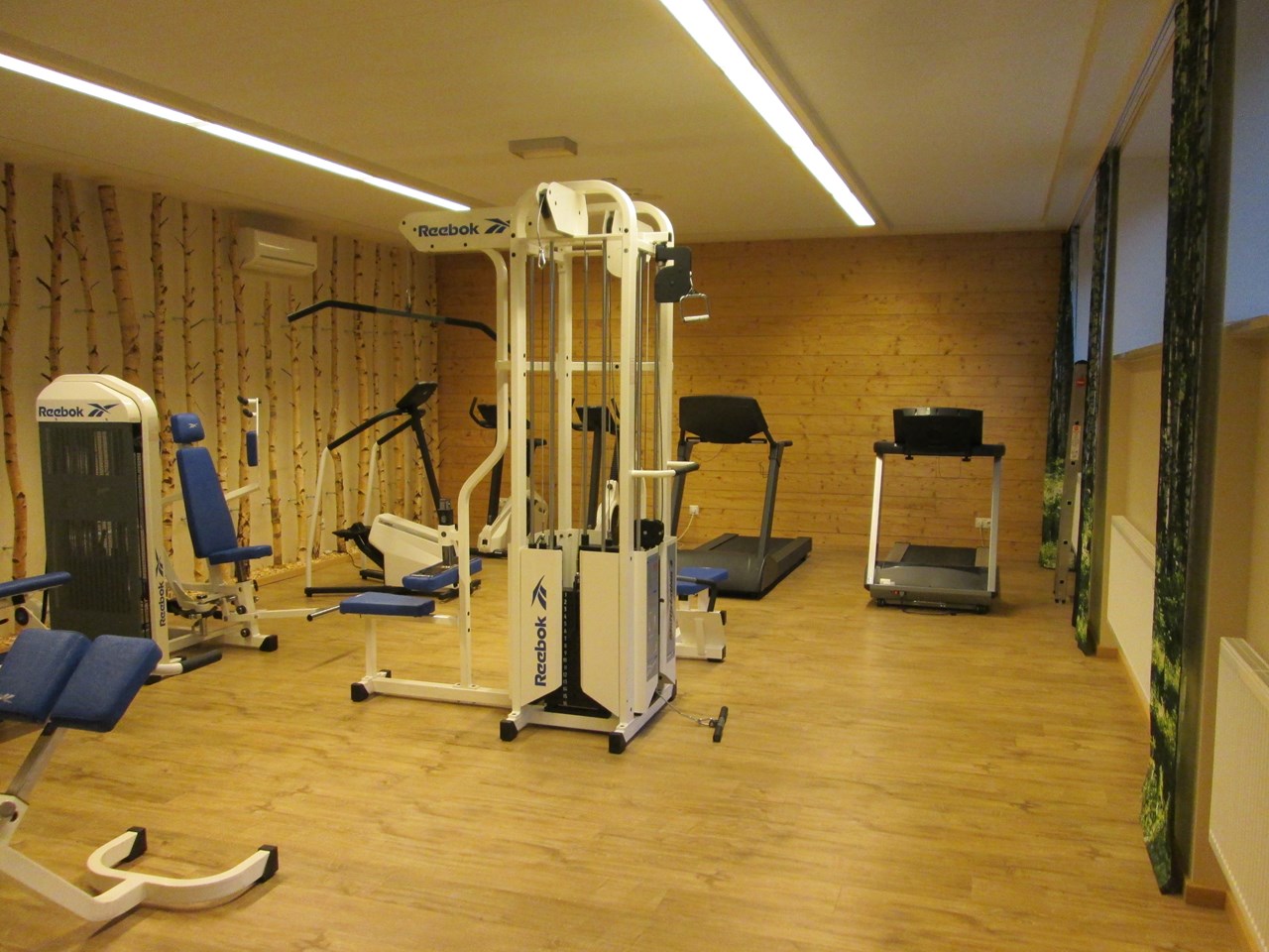 Hotel Dirsch Wellness  Spa Resort Naturpark Altmühltal Fitnessangebote im Detail Fitnessraum