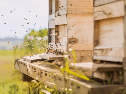 Wellnessurlaub - Day SPA - Knotzberg (Neukirchen am Walde, Natternbach) - Die süßesten Mitarbeiter - Honig direkt aus Wabe am Frühstücksbüfett  - Landrefugium Obermüller | 360 ° Glück | 4,5 Sterne