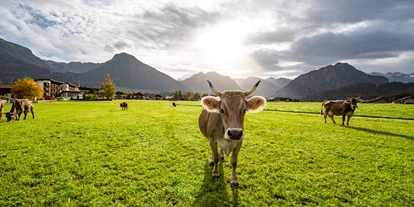 Wellnessurlaub - Fontanella - Alpenhof Oberstdorf Hotel & SPA