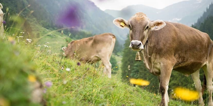 Wellnessurlaub - Fontanella - Alpenhof Oberstdorf Hotel & SPA