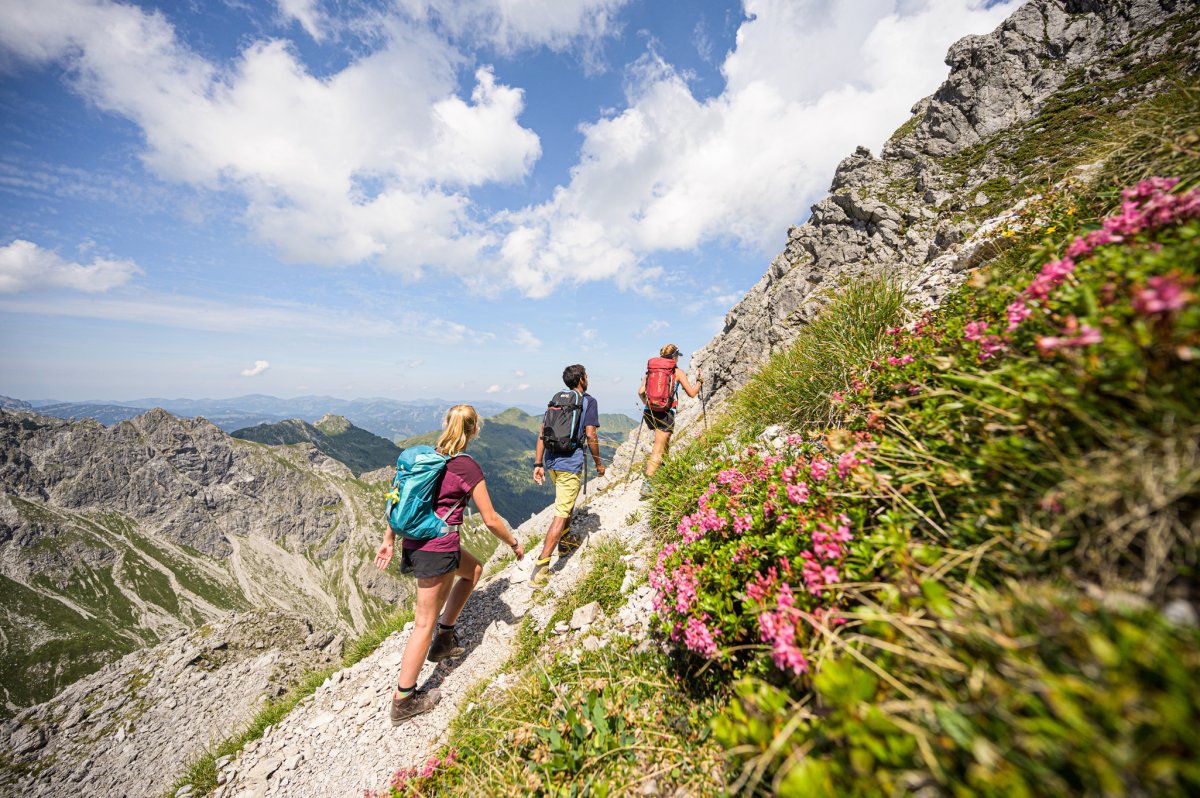 Wellnesshotel: Alpenhof Oberstdorf Hotel & SPA - Hotel | Umgebung